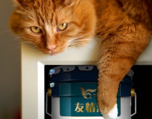 友情木器漆部分產(chǎn)品介紹